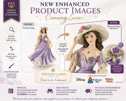 "New Enhanced Product Images Coming Soon!"